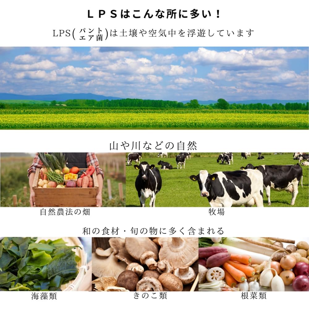 Amazon | 25%増量 NEW「マクロ元気」 【120包パック】LPS サプリメント